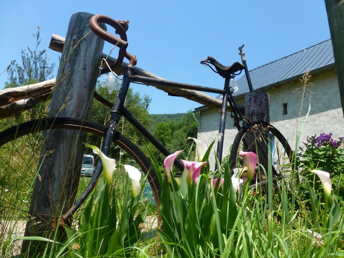Les Deux Velos Chambres D'Hotes-Table D'Hotes Biert Exteriér fotografie